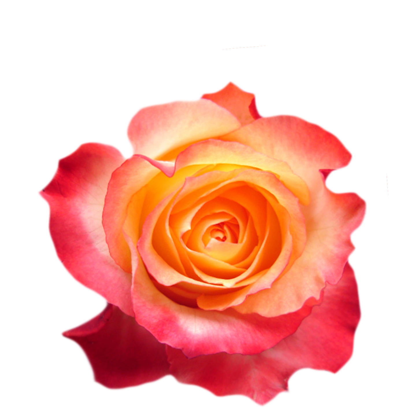 sample photo