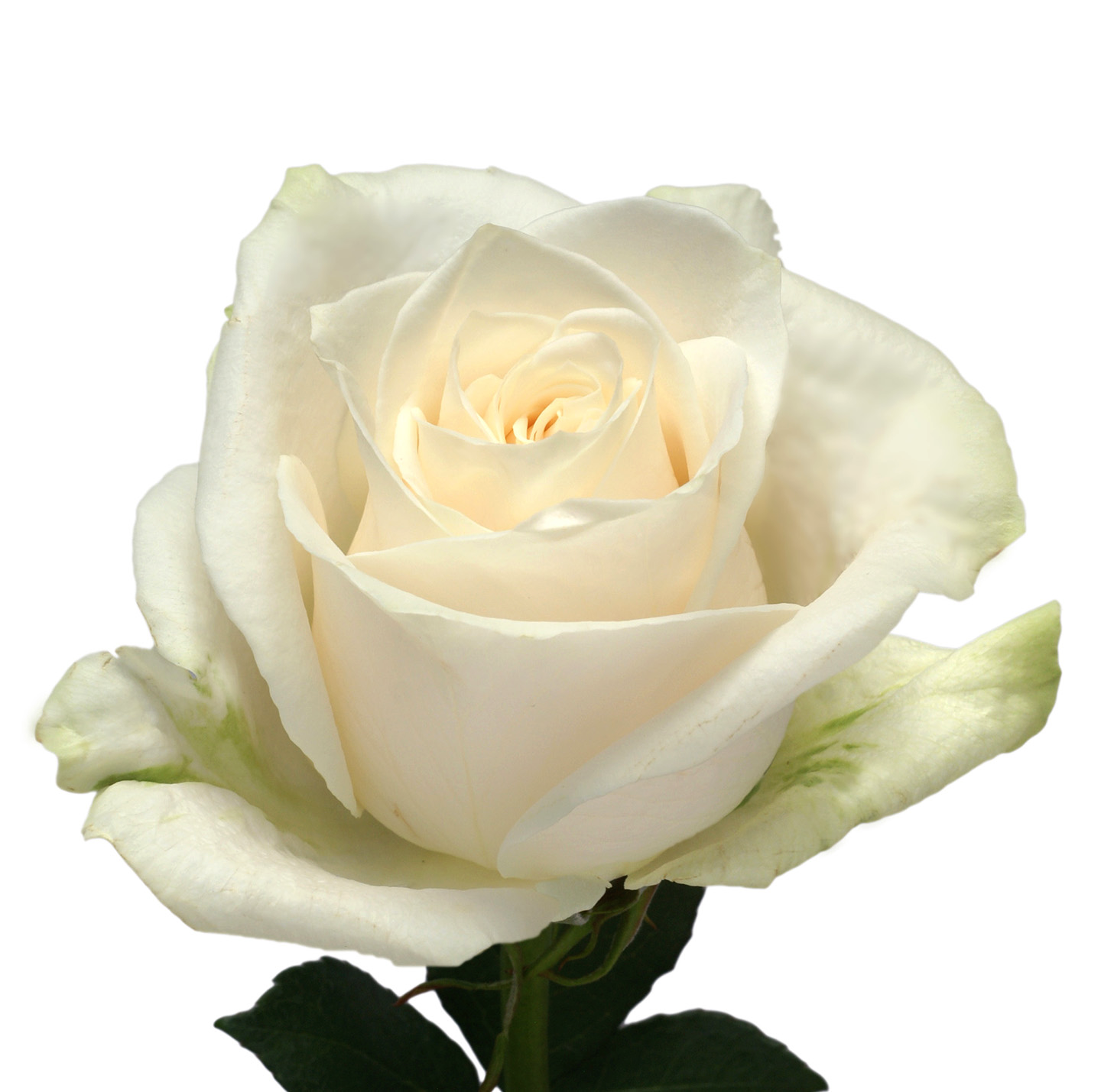 sample photo
